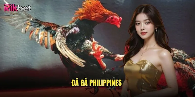 đá gà Philippines