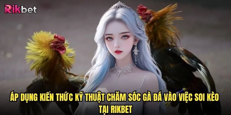 Kỹ thuật chăm sóc gà đá trên rikbet có giúp nâng cao tỷ lệ thắng cược không? 3 Áp dụng kiến thức Kỹ thuật chăm sóc gà đá vào việc soi kèo tại rikbet