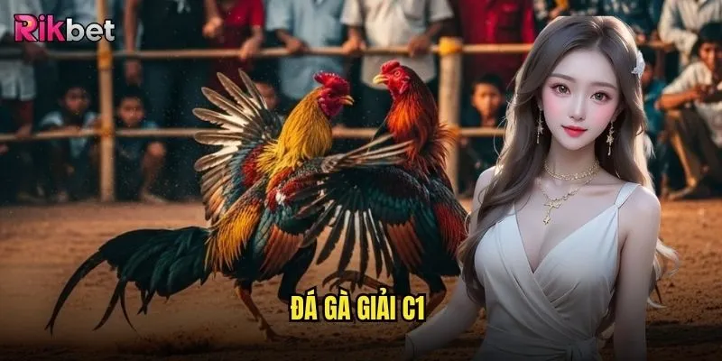 Đá gà giải C1