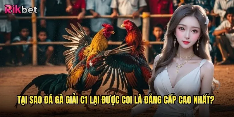 Đá gà giải C1 trên rikbet có thực sự là giải đấu đỉnh cao nhất? 2 Tại sao đá gà giải C1 lại được coi là đẳng cấp cao nhất?